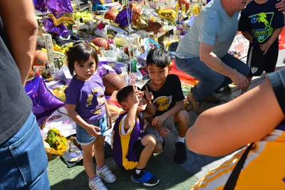 DSC_7173 (Large).JPG